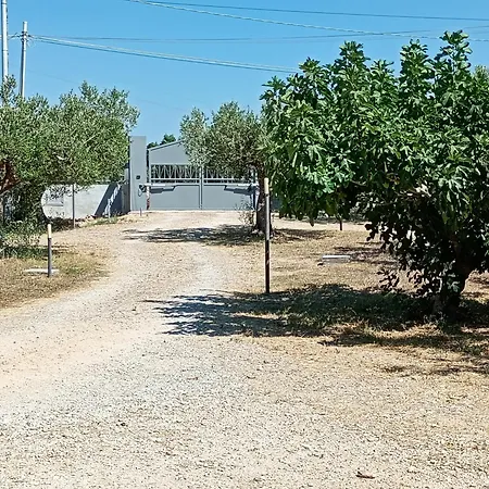 La Gleba *