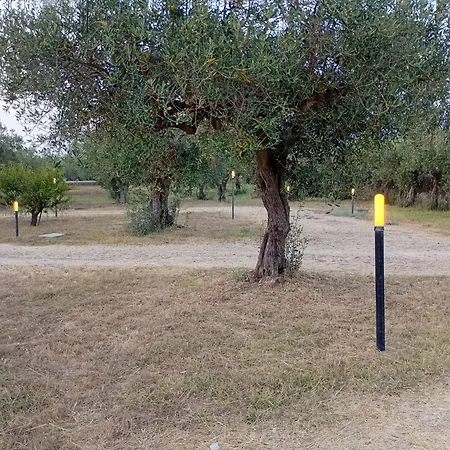 La Gleba *