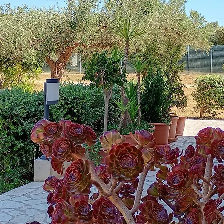 Apartamento La Gleba *