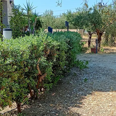 Apartamento La Gleba *